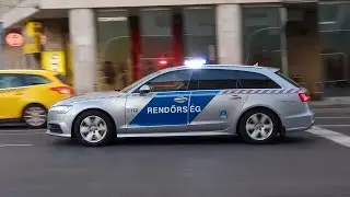 V&eacute;rlovag,Cerny Korasz&uuml;l&ouml;tt Mentő+Omsz, Deleg&aacute;ci&oacute;