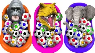 Wild Animals Gorilla Dinosaur Elephant Water Bath Tub Learn Colors with Soccer Balls for Kids