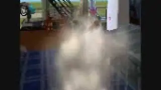 Sims 2 FIGHT