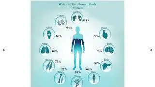 6th Std Science | Term 3 | Unit 2 | Water | Samacheer