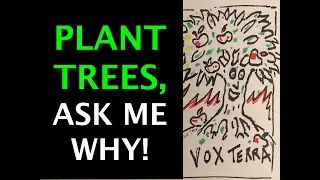 The &ldquo;Every Child, One Fruit Tree&rdquo; movement: why their work is important.