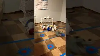 Bowling with da baby plane plushies! ❤️✈️🤣🎳@Aviation83-f8l #funny #cute #plane #plush #baby