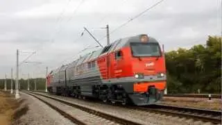 Выставка 