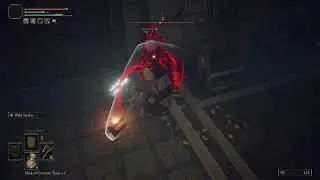 Elden Ring - Wild strikes vs 0 poise