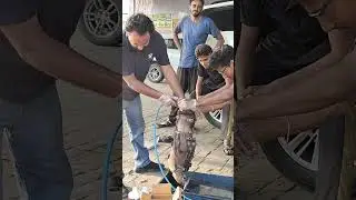 DPf Cleaning Process In detail @lakhrajmotorspb56 #trend #automobile #trending #car #instagram