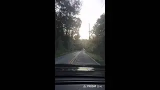 Boring traffic and people watching