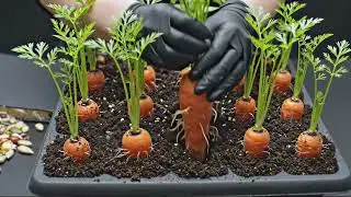 AI's View: Carrot's Life via Magical Planting Book&mdash;Stuck in a Loop?#ai #shorts #magic #plants
