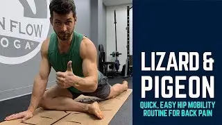 Lizard & Pigeon - Quick Hip Mobility Routine for Office Related Back Pain Relief