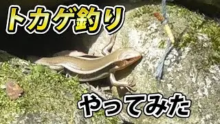 トカゲ釣りにチャレンジ！ミルワームで釣れる？