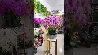 A Year Later Phalaenopsis Flowers Still Shine in India New Year Decor