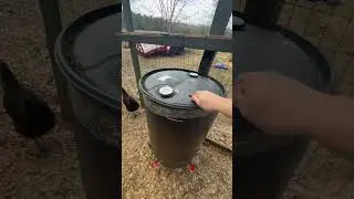 Chicken water and feed #chickens #waterandfeeder #homestead #diy