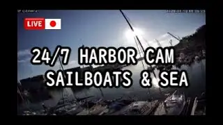 【LIVE】24/7 Harbor Cam | Sailboats & Sea | Yokosuka, Japan