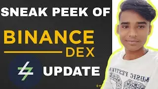 New Binance DEX Sneak Peek & Switcheo Update In Hindi