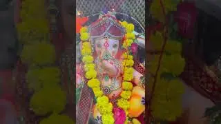 Ganpati bappa morya #ganeshchaturthi #ganpatibappamorya #devotionalsongs #devashreeganesha #trending