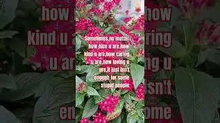 lesson learned #pinoycommunity #ofw #getviral #lifeqoutes #promoteyourchannel