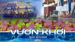 CHƯƠNG TRÌNH VƯƠN KHƠI | 25/12/2025 | TP. HỒ CHÍ MINH YÊU CẦU TỔNG RÀ SOÁT QUẢNG CÁO NGOÀI TRỜI