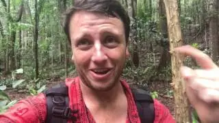 Bohol, Philippines Travel Vlog: Folan Finds Trip Around the World Day 77