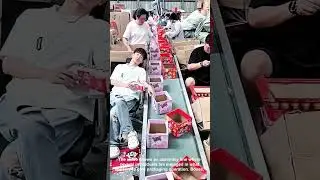Assembly Line Dreams Packaging Cartoons Moving Boxes Repetitive Work Life