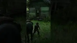 Hani's Bethel Hidden Money - RDR2 #johnmarston #arthurmorgn  #gaming #rdr2 #reddeadredemption2