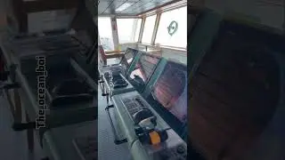 BNWAS Explained | Bridge Navigation Watch Alarm System 🚨⚓#lifeatsea#the_ocean_boi#shiplife#maritime