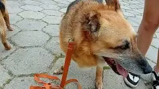20250607 130110