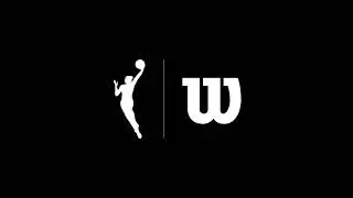 Wilson WNBA Official Game Basketball - Built with Evo NXT Technology