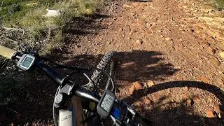 DH3 & DH4 @tokaiMTB
