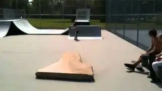 The shirtless skater