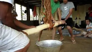 Koka dye extraction