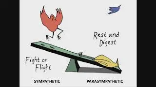 Autonomic Dysfunction - Dr. Alan Hakim | Italian (ITA)