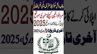 Teachers Jobs 2025 | Punjab Daanish Schools & Center Of Excellence Authority Jobs 2025 | New Jobs
