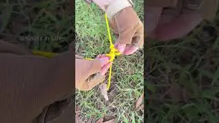 Very simple yet amazing camping knot!