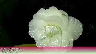 Asif Ali Kheshgi ... dasay de makh warrawo ||Poet ... Anwar Hussain Zarin
