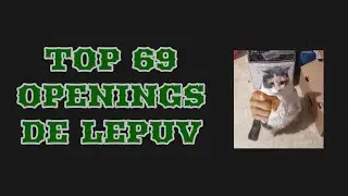TOP 69.00001 OPENINGS DE NAKAMA LEPUV