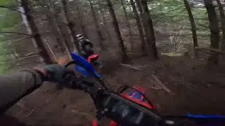 Perfect single track in Oregon