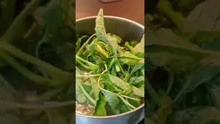 Simple daily food, Asian meals