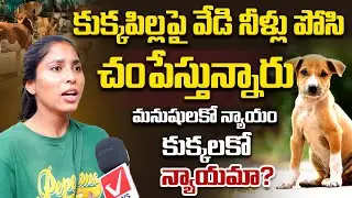 కుక్కలపై జాలి చూపించరా | Public Comments on Street Dogs | Save Street Dogs | Vnews Vishesha