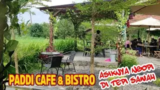 PADDI CAFE & BISTRO | ASIKNYA NGOPI DI TEPI SAWAH