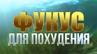 Таблетки для похудения. Фукус