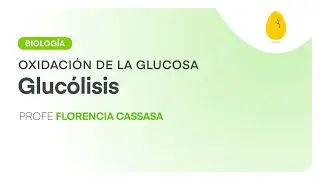 Glucólisis | Biología | Oxidación de la Glucosa | V3 | Egg Educación