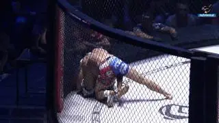 Gala KSW 35 w Ergo Arenie | my3miasto.pl