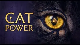Ancient Egypt's Secret Weapon? The Surprising Story of Cats!