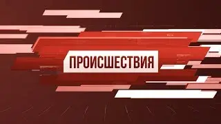 Рубрика &laquo;Происшествия&raquo;. Выпуск 30.08.2019