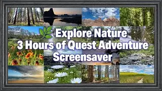 🌿 Explore Nature &ndash; 3 Hours of Quest Adventure in a Frame Screensaver #TVFrameArt #NatureInAFrame