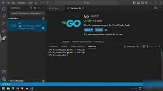 [2] gofmt | Correctly format your Go code  | VS code extension for GO | GO Fundamentals 2
