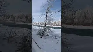 Skating along the Bow River, Calgary, Alberta, Canada #wendyrelf #calgary