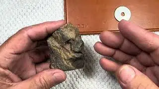 Ancient Egyptian small head looking statue