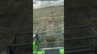 OUR COMBINE- 2022 Plot Harvesting