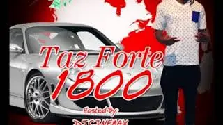 Taz Forte 