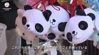 上野動物園の双子パンダ『シャオシャオ』『レイレイ』、最後の見送りに多くの来園者と記念グッズ人気